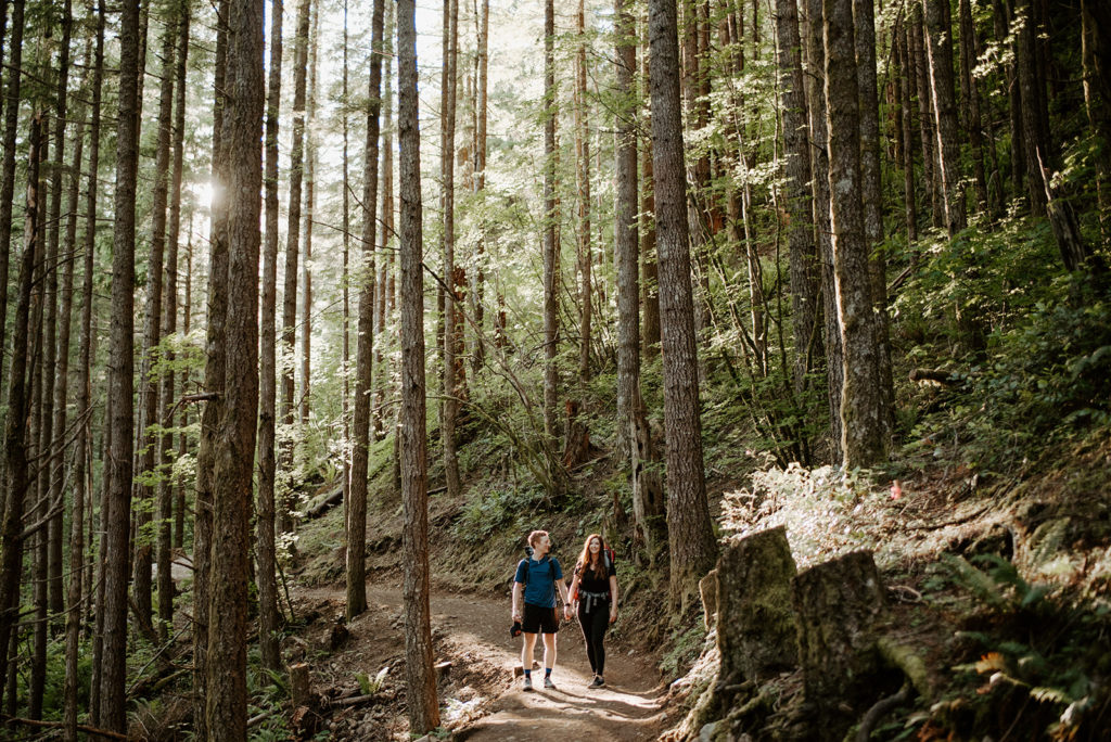 newly engaged couple walking around in the forest, and long trees are around them