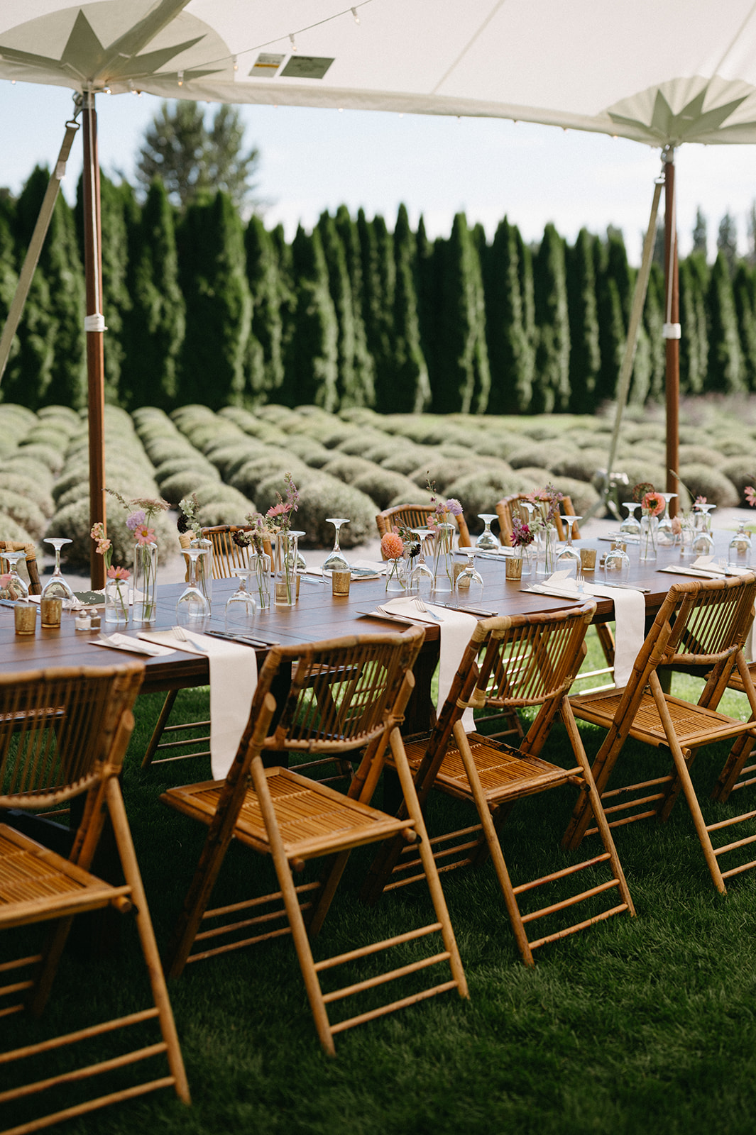 Wooden chairs surround an outdoor reception table set with wildflowers and glassware in front of lavender rows.