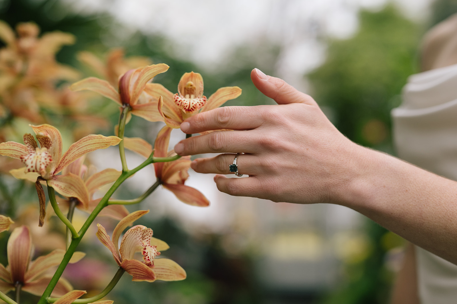A close-up of Taylor’s hand resting on an orchid flower, highlighting her elegant engagement ring.