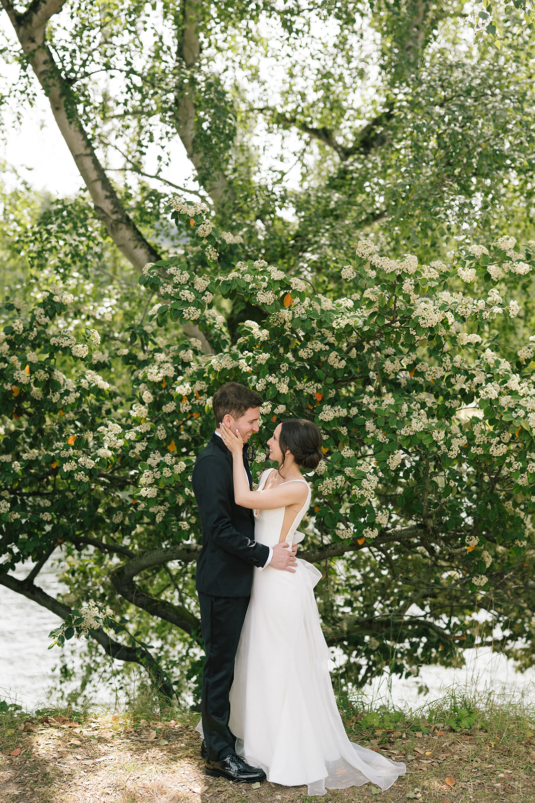 Bride touching groom’s face as they stand together beneath a flowering tree along the waterfront in Seattle