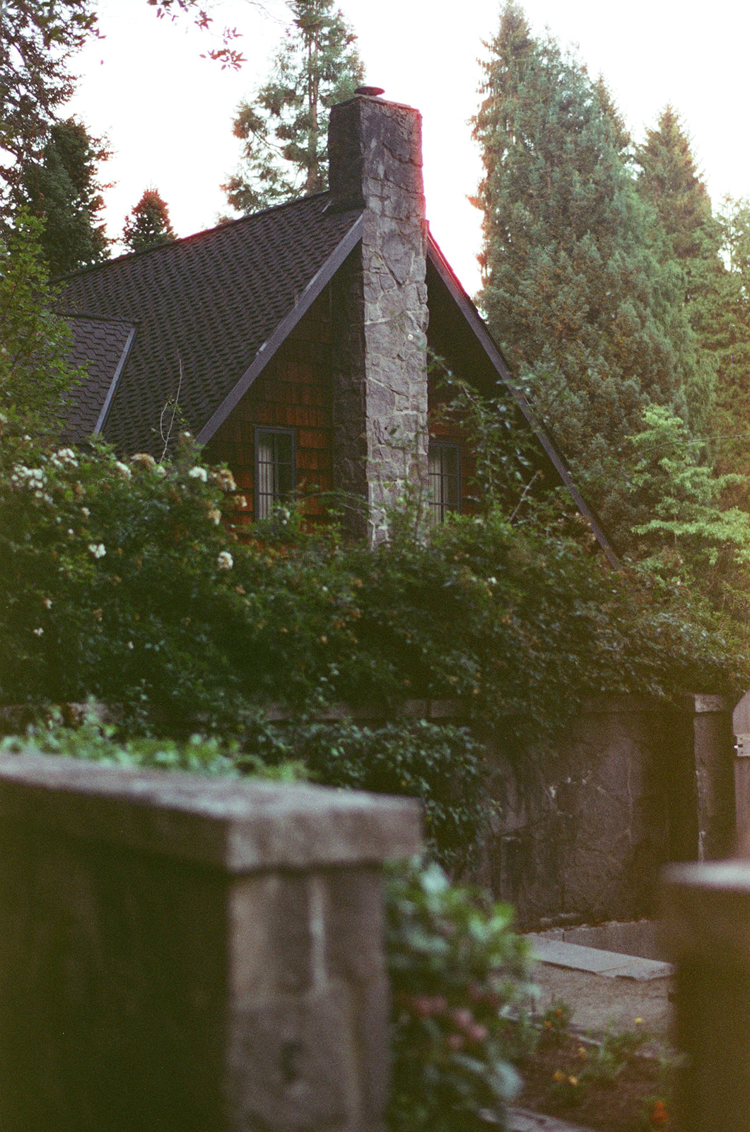 The cedar cottage and stone chimney at Bella Luna Farms framed by trees and greenery, photographed on Candido ISO 800 film in soft evening light.
