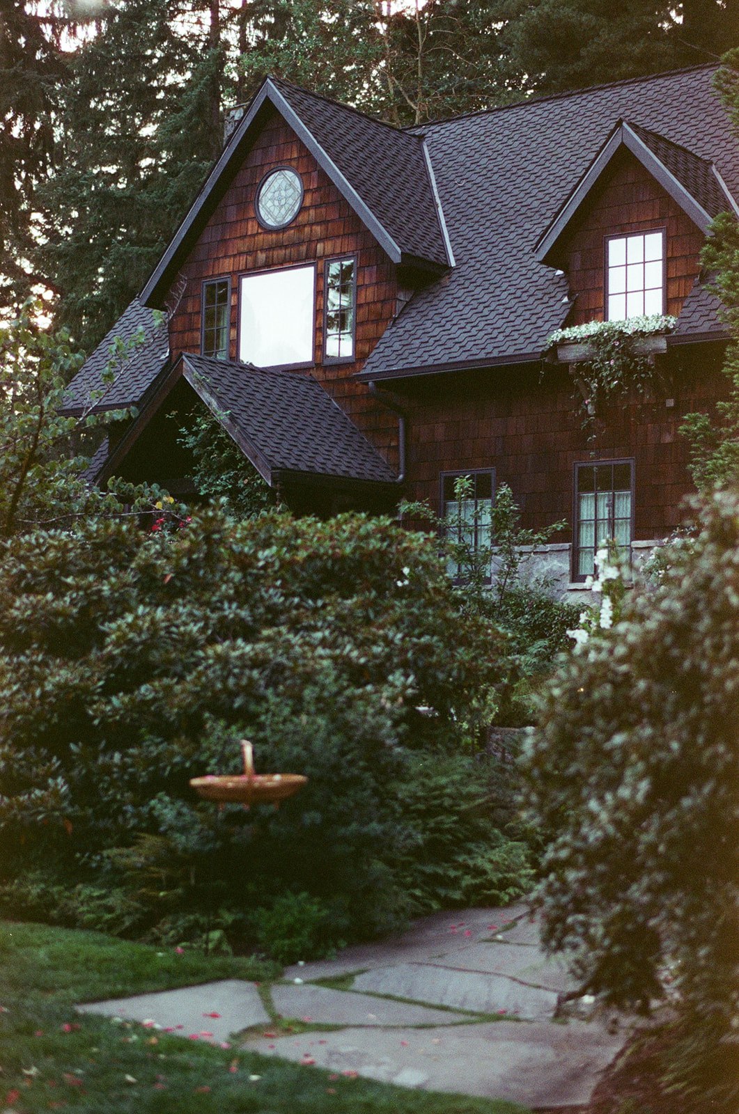 The cedar cottage and surrounding greenery at Bella Luna Farms in Snohomish, Washington, photographed on Candido ISO 800 film with gentle, natural tones.
